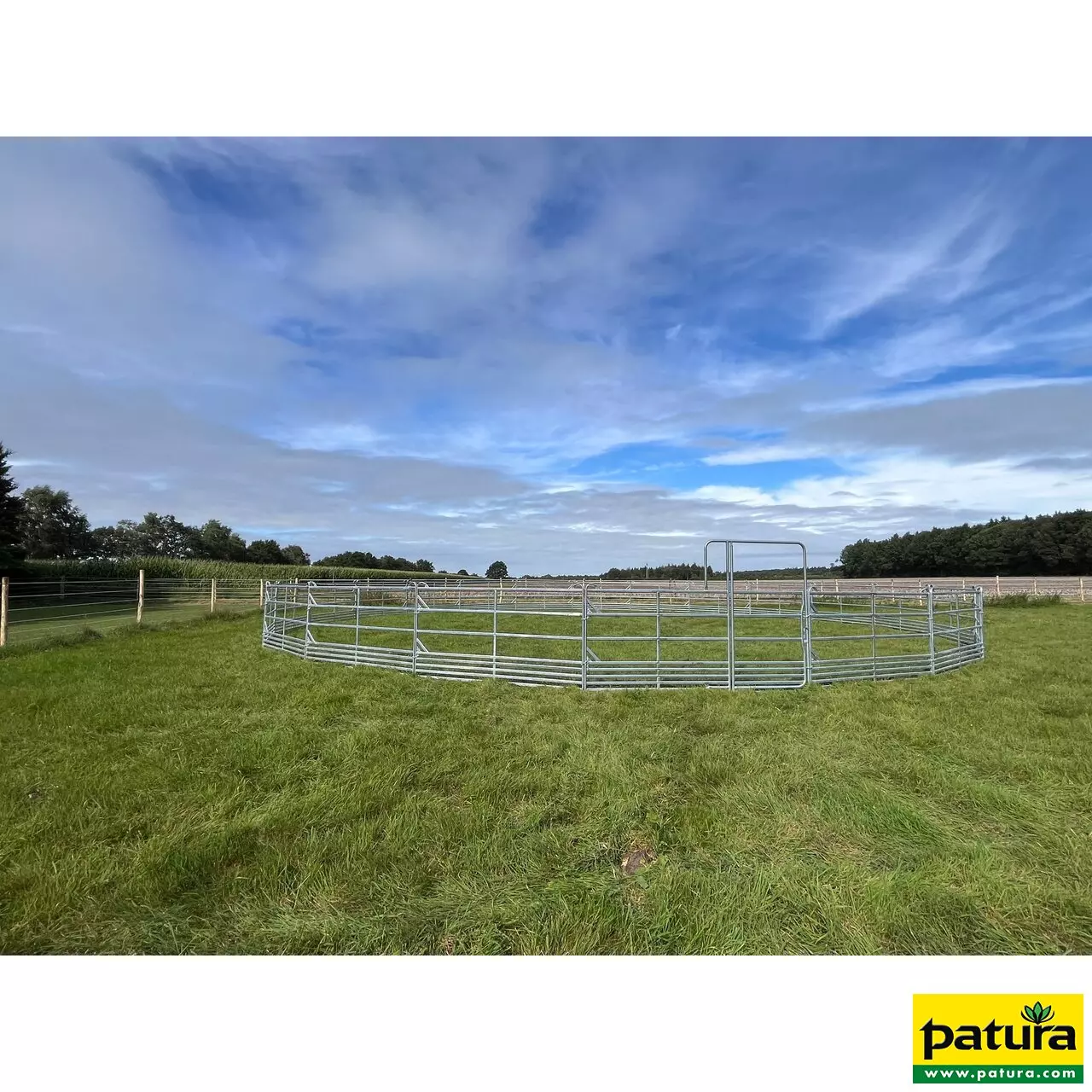 Roundpen d= 11 m mit Sicherheits-Pferde-Panels