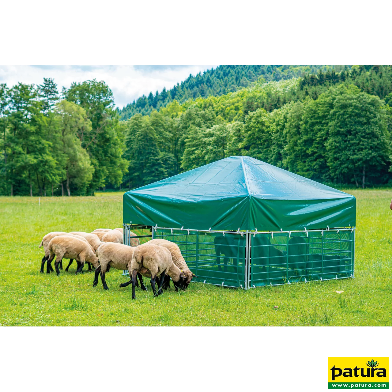Windschutznetze für Steckfix-Horden XL für Steckfix-Dach 2,75 x 2,75 m, inkl. Befestigungsschnallen (4 Netze)