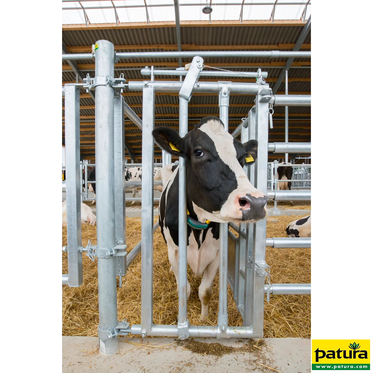 Fressgitter für Tierbehandlung mit Einschub R5