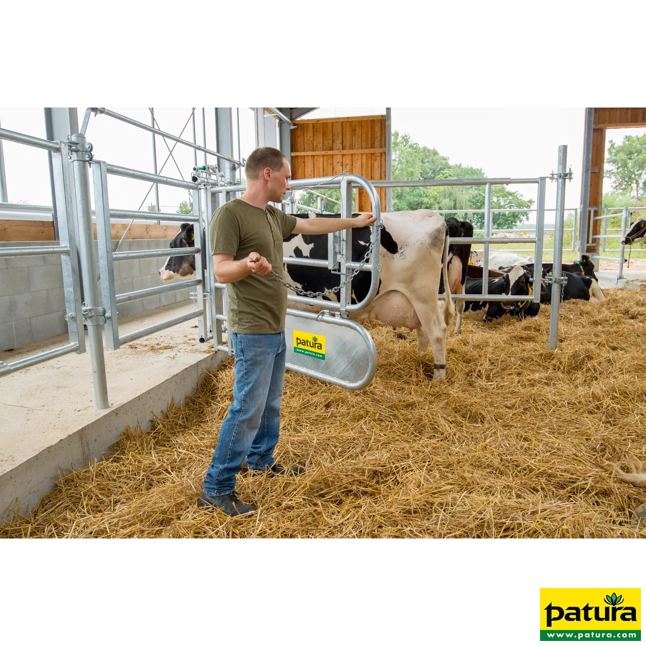 Abtrennung für Tierbehandlung