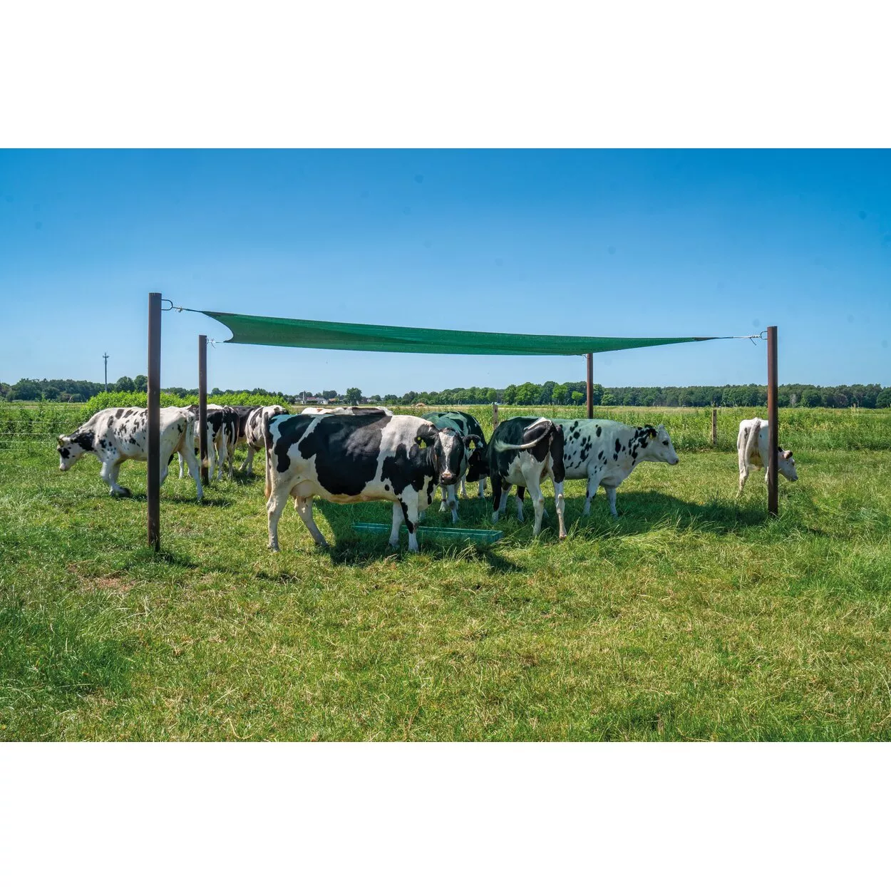Beschattungsnetz 4,0 x 6,0 m PVC Material P75, Farbe grün