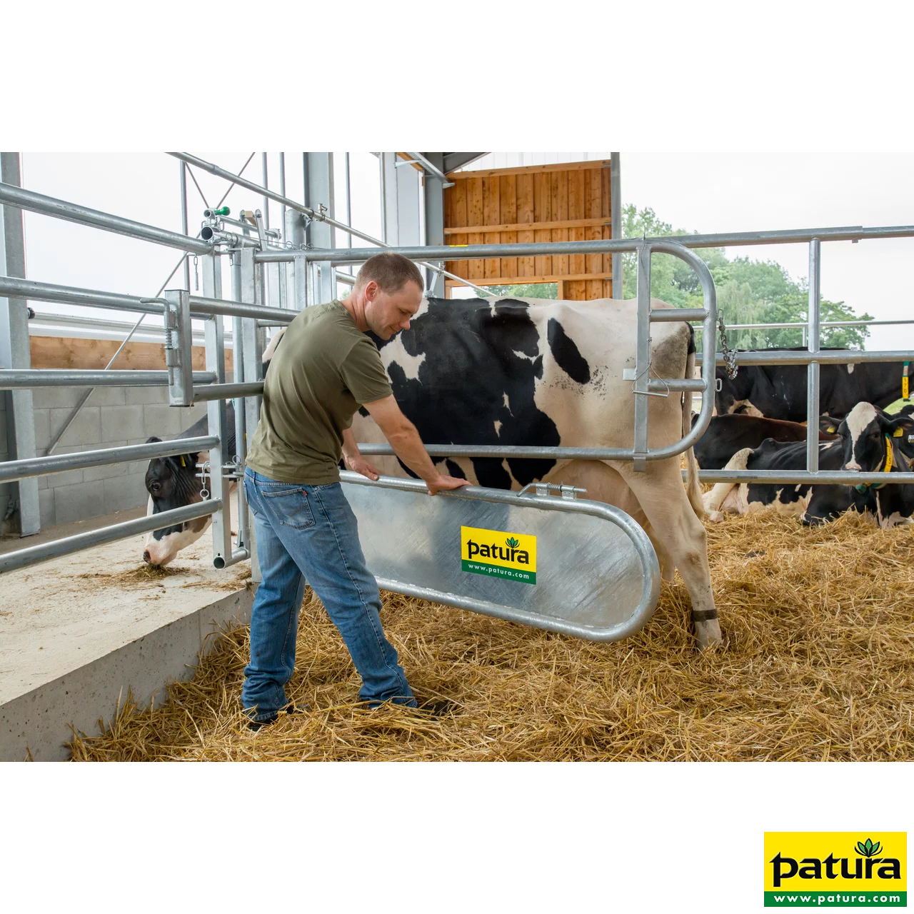 Abtrennung für Tierbehandlung