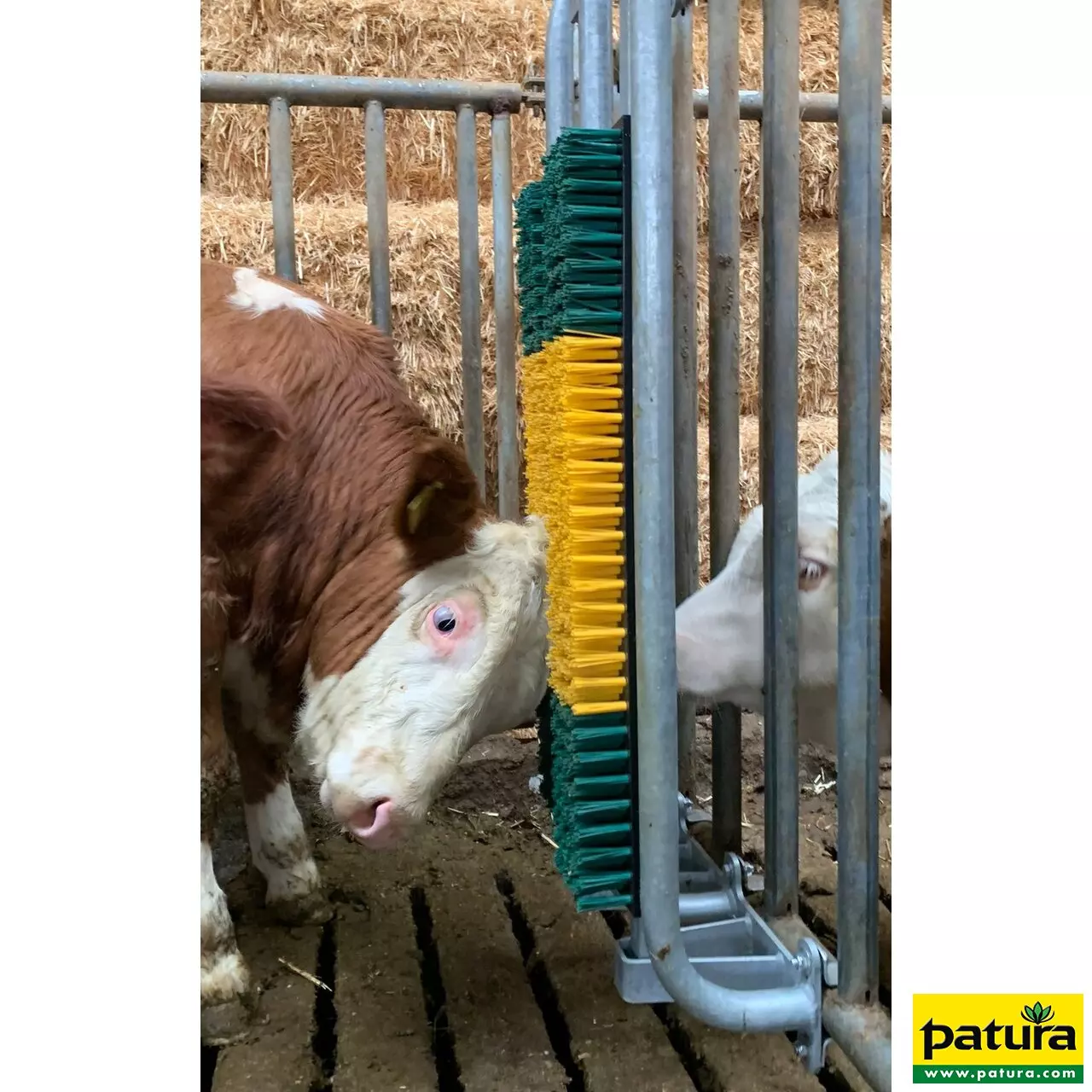 Bullenbürste mit Schutzkorb, gefedert