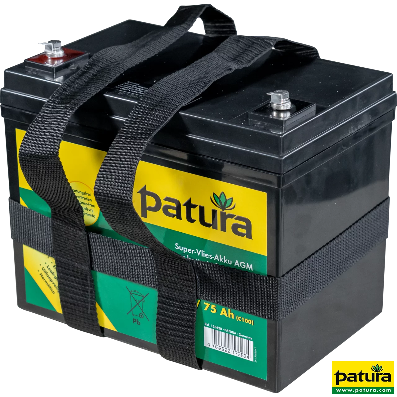 Super-Vlies-Akku 12 V / 75 Ah C100 wartungsfreie Vliesbatterie mit Tragegurt