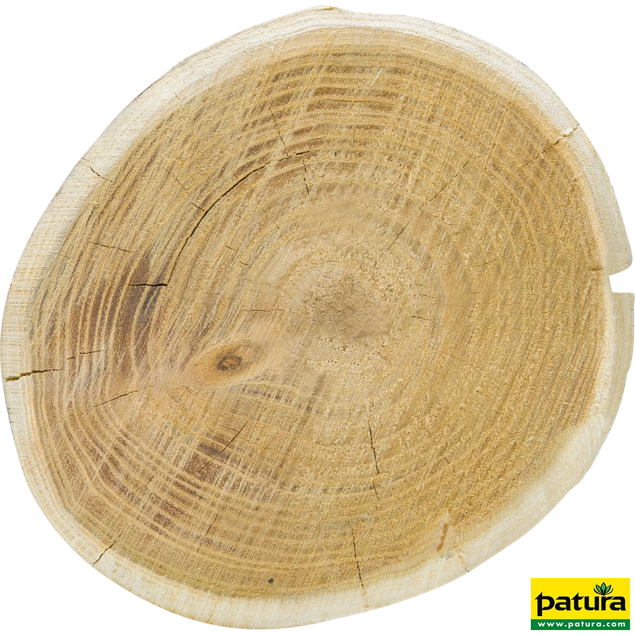 Robinienpfahl, rund, 2500 mm, d=14-16 cm gefast, 4-fach gespitzt, entrindet