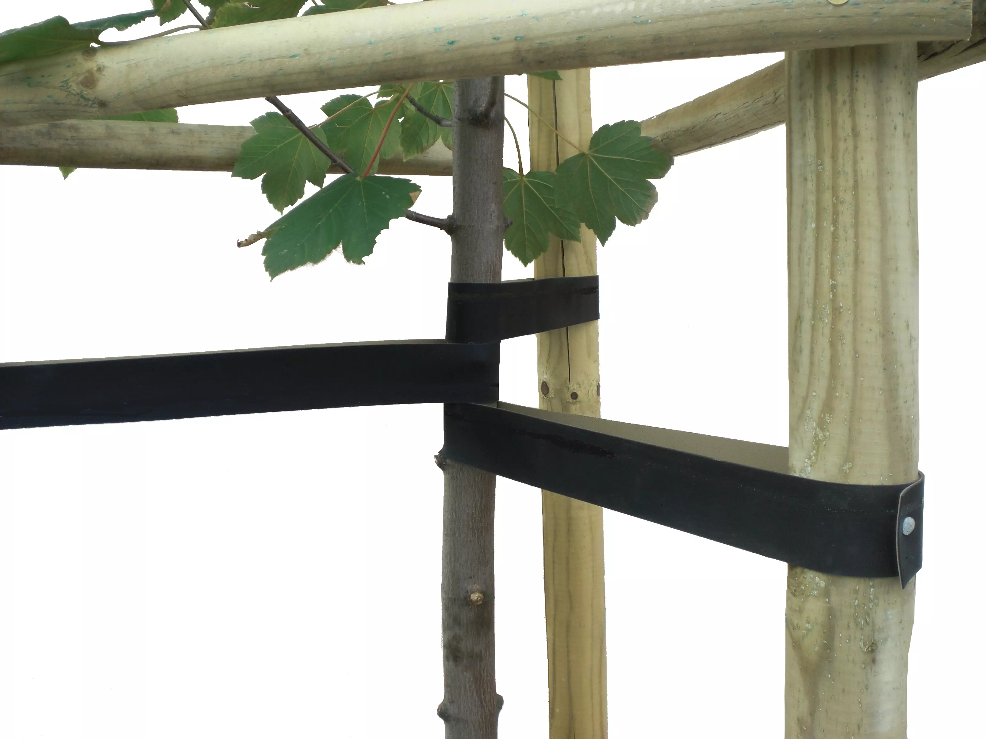 Hebo EPDM-Gummi Baumbinder – Flexibles und langlebiges Baumanbindeband für effizientes Anbinden von Bäumen