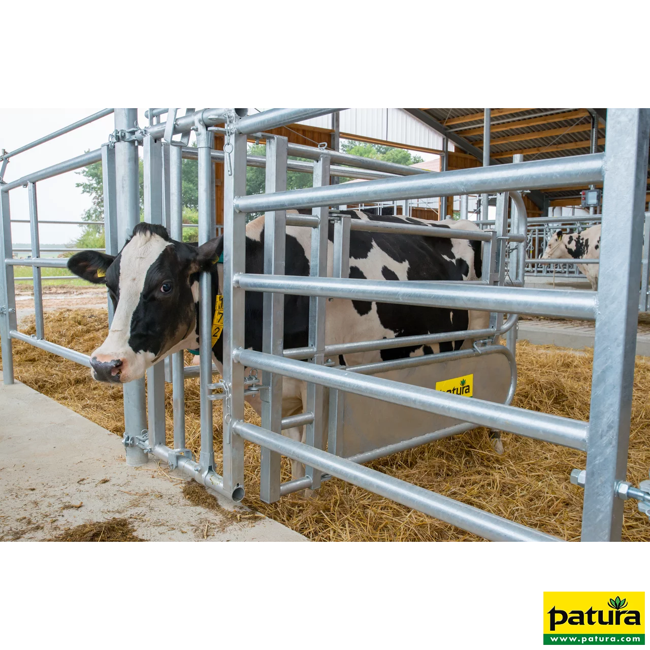 Fressgitter für Tierbehandlung mit Einschub R5