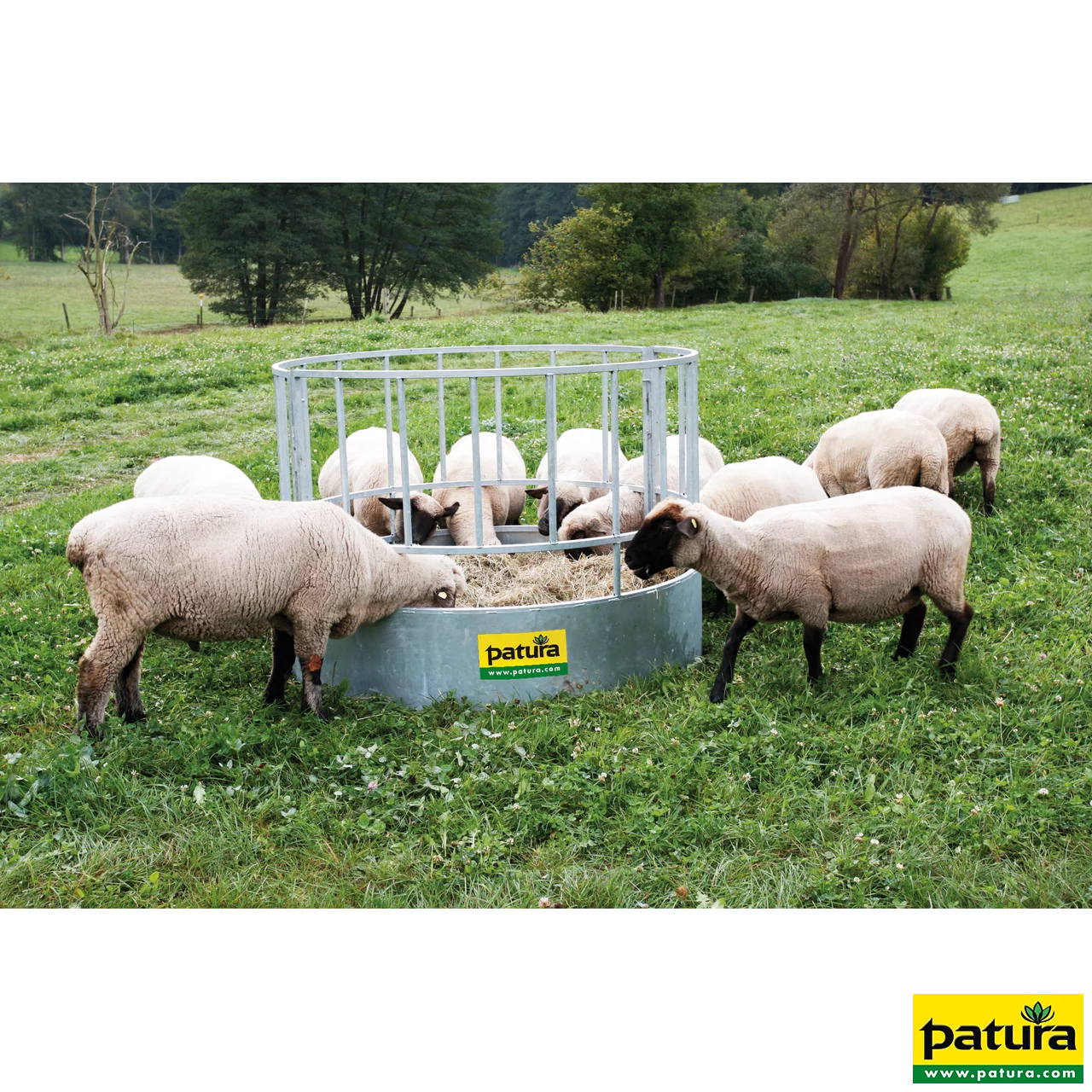 Rundraufe für Schafe, 20 Plätze verzinkt, 2-teilig
