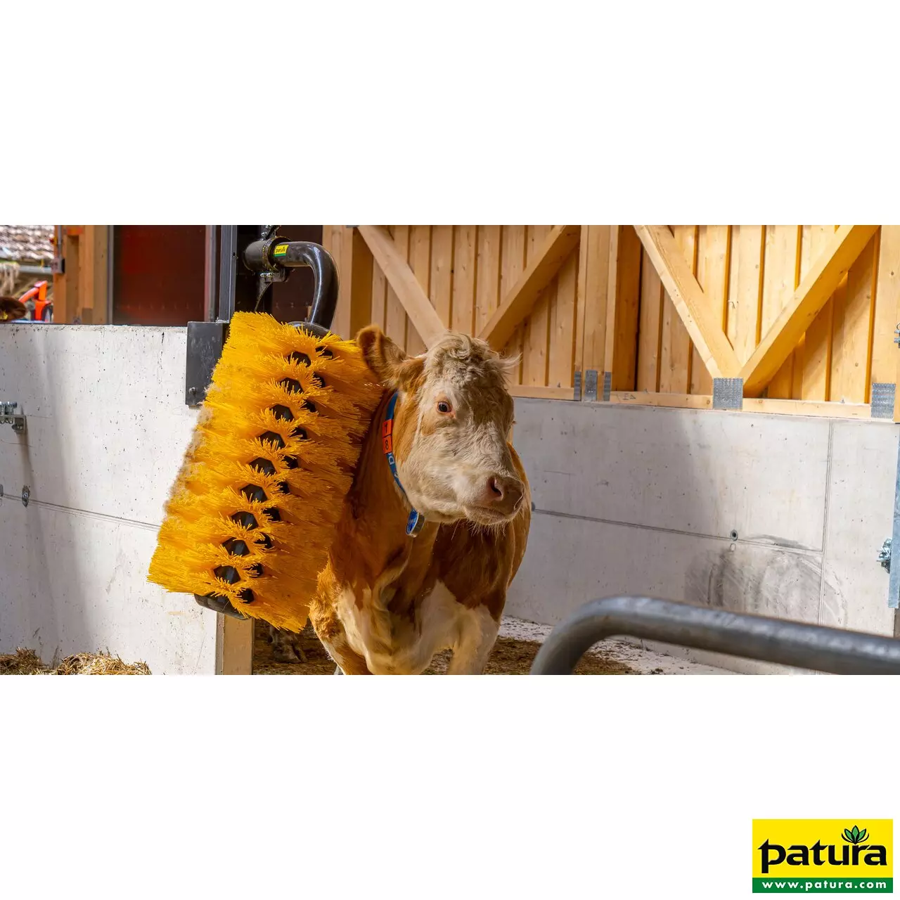 Schwingbürste Maxi für Rinder und Groß pferde Höhe 155 cm, Gewicht 60 kg