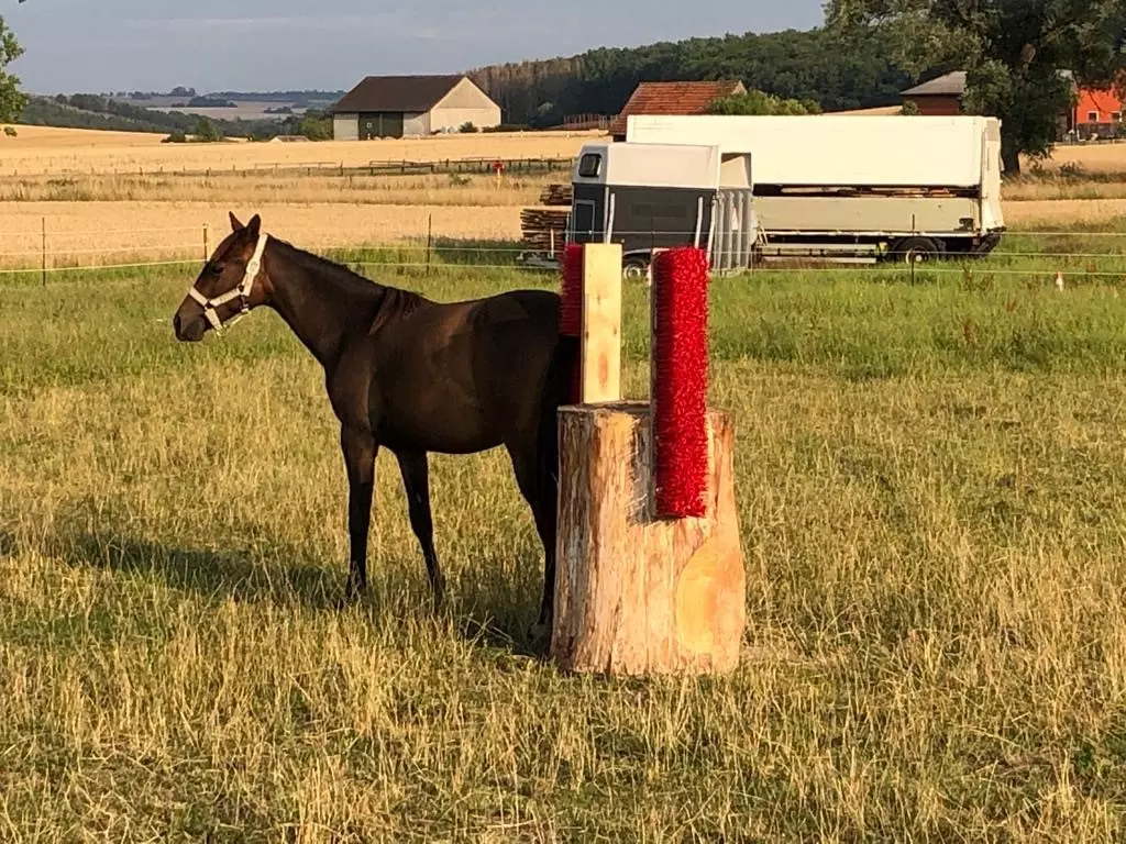 Viehbürste, Schubberbüste, Borstenleiste zur Fellpflege für Pferde, Ponys, Rinder - [ 1000mm mit Metallschiene zur Befestigung ] 