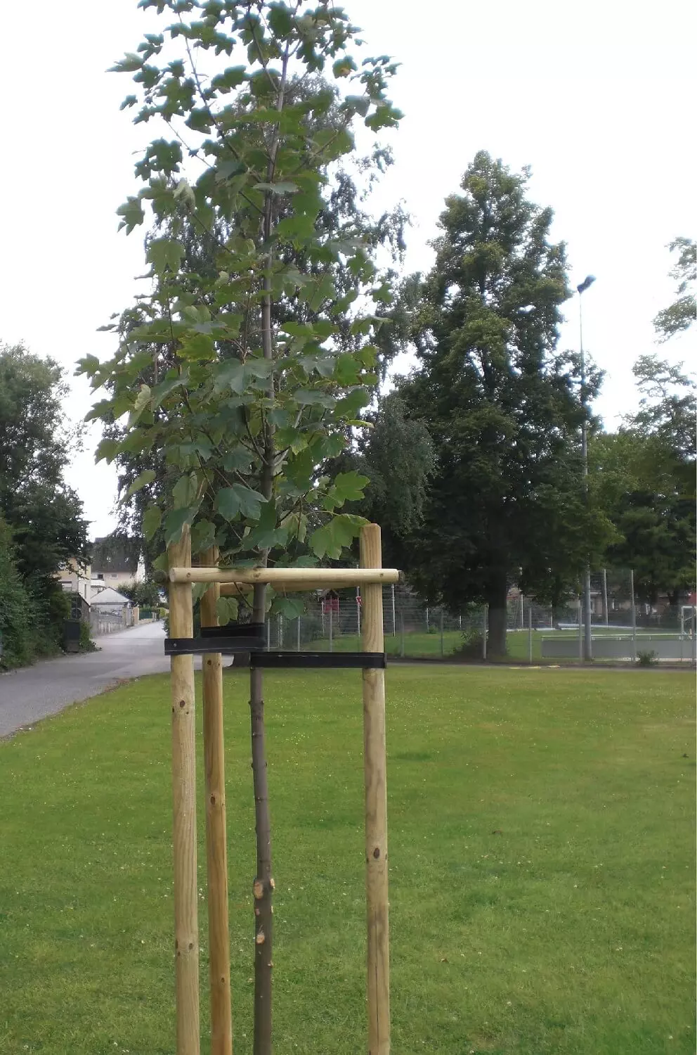 Hebo EPDM-Gummi Baumbinder – Flexibles und langlebiges Baumanbindeband für effizientes Anbinden von Bäumen