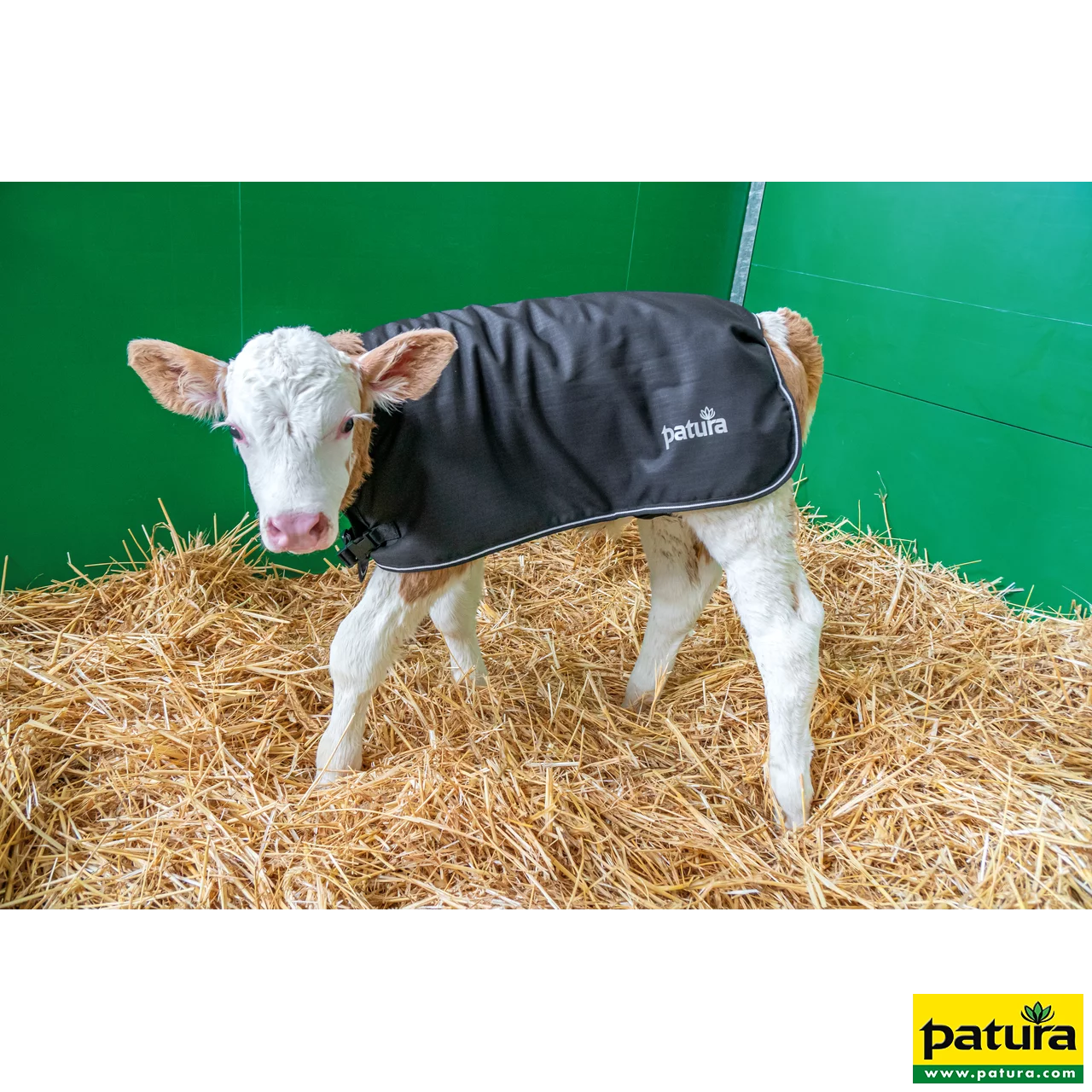 PATURA Kälberdecke Größ e L Rückenlänge 75 cm