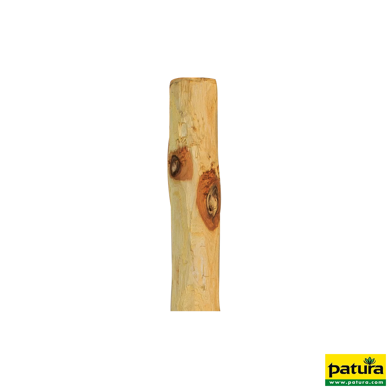 Robinienpfahl, rund, 2,0 m, d=6-8 cm, gefast, 4-fach gespitzt, entrindet