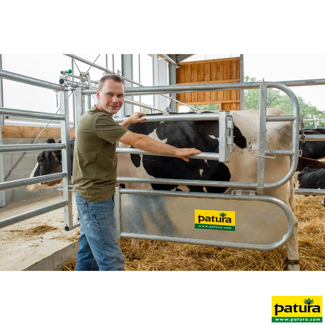Abtrennung für Tierbehandlung